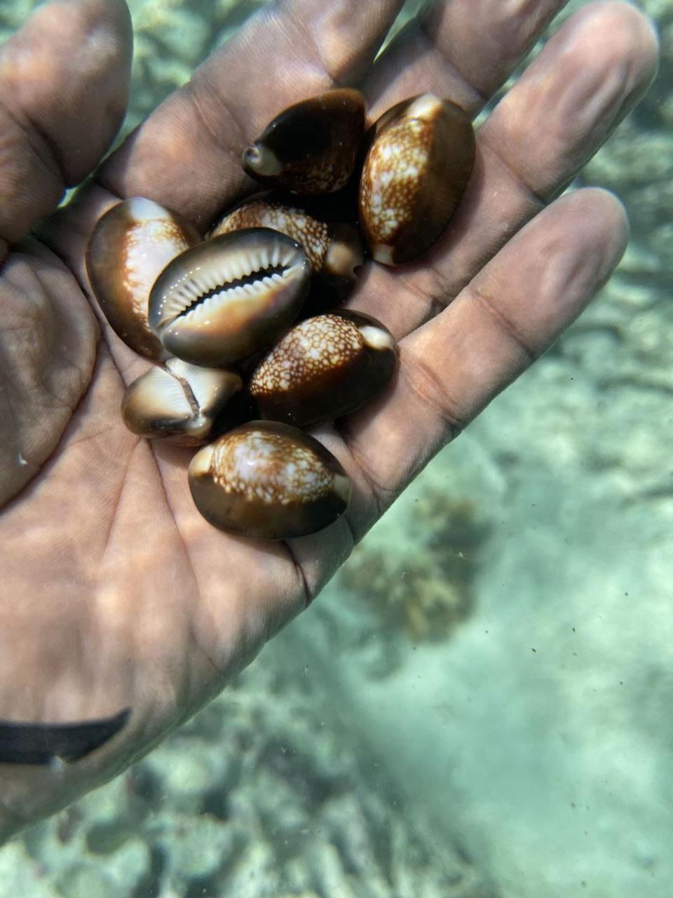 Mamello Beach Club Maldives Feridhoo المظهر الخارجي الصورة