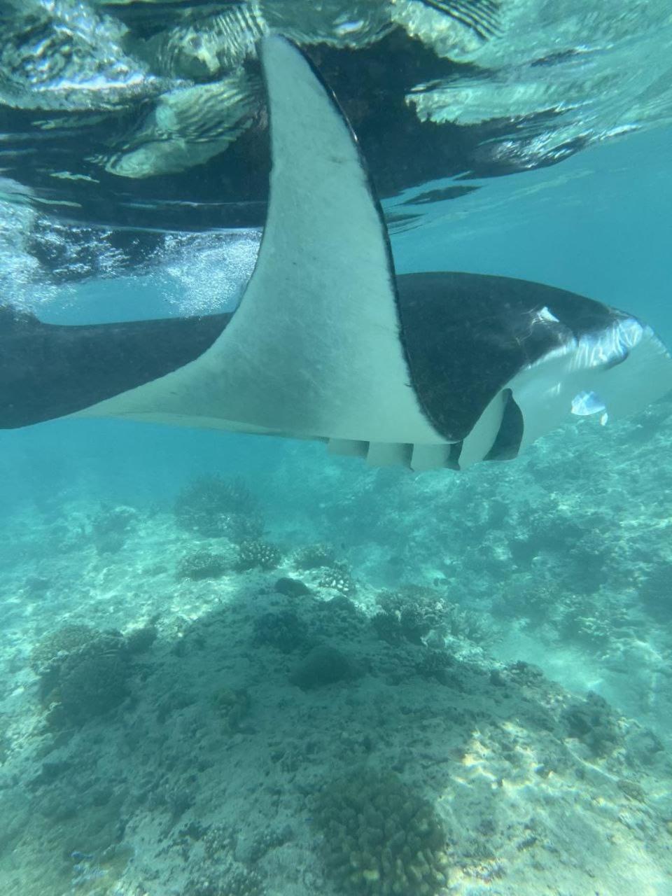 Mamello Beach Club Maldives Feridhoo المظهر الخارجي الصورة
