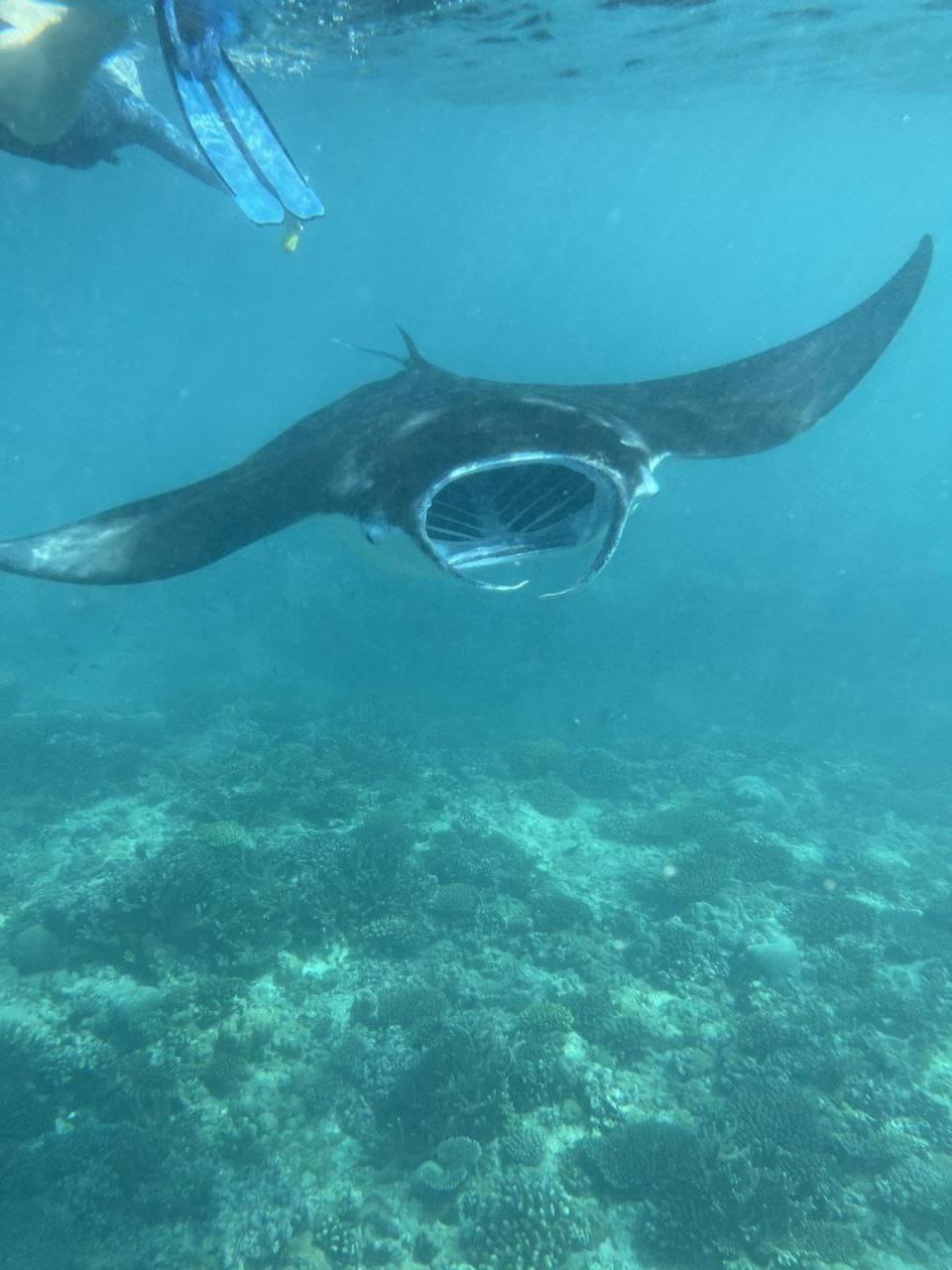 Mamello Beach Club Maldives Feridhoo المظهر الخارجي الصورة