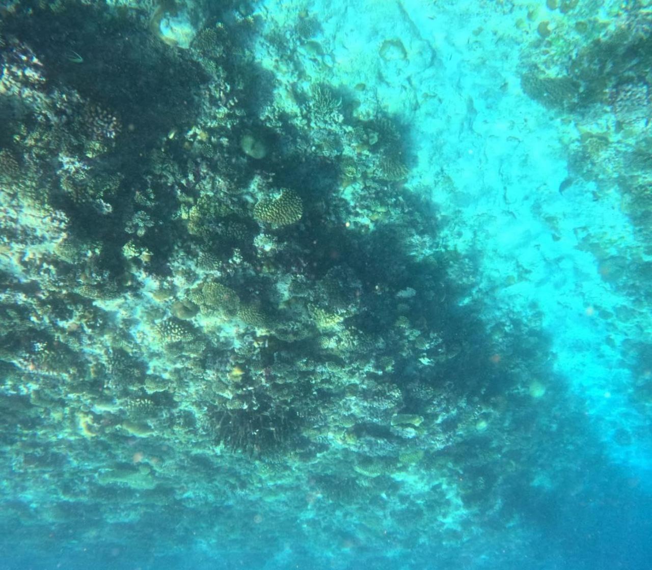 Mamello Beach Club Maldives Feridhoo المظهر الخارجي الصورة