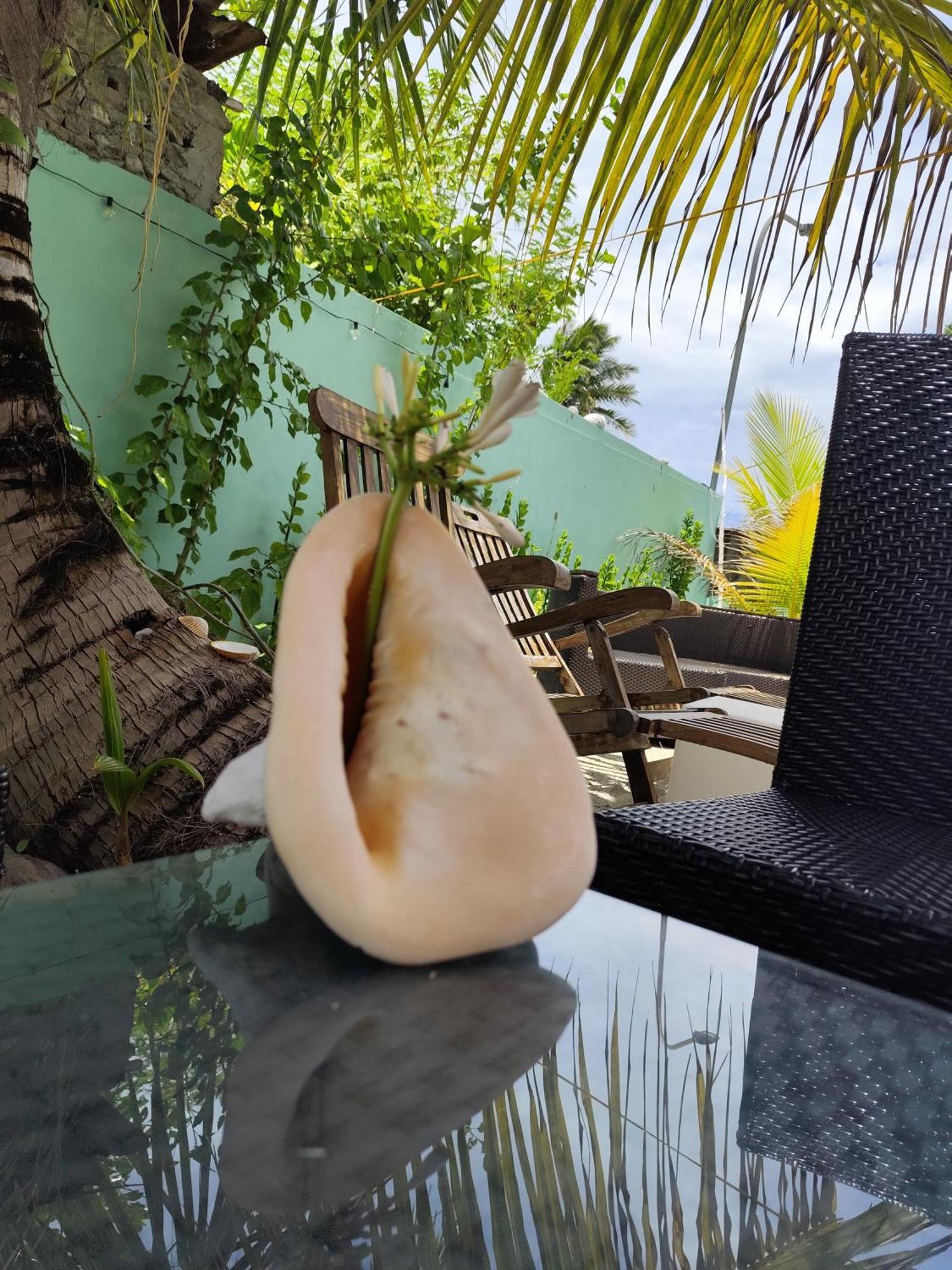 Mamello Beach Club Maldives Feridhoo المظهر الخارجي الصورة
